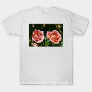 Peach patio roses T-Shirt